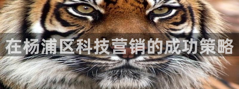 金年会网站稳不稳