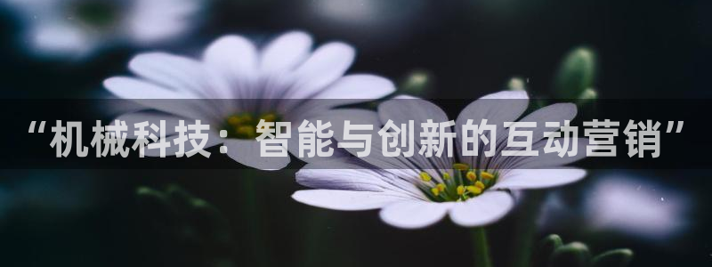金年会下载中心