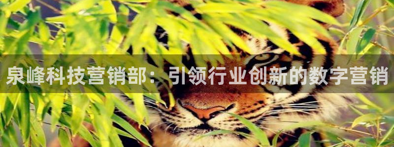 金年会官方下载app