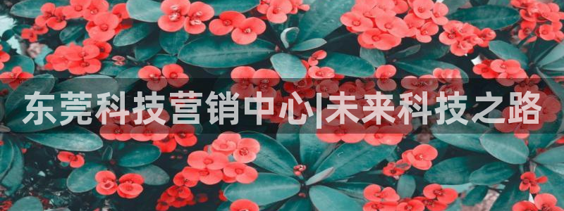 金年会体育在线登陆入口