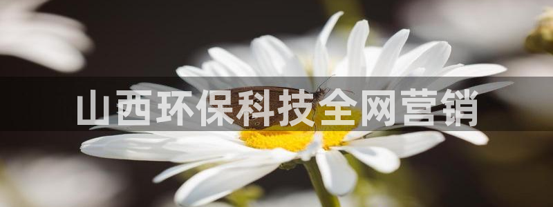 金年会体育娱乐