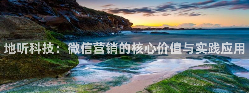 金年会app官方网站入口