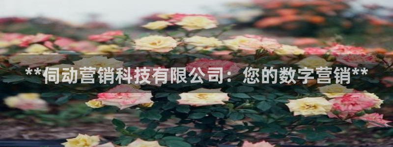 金年会体育中心