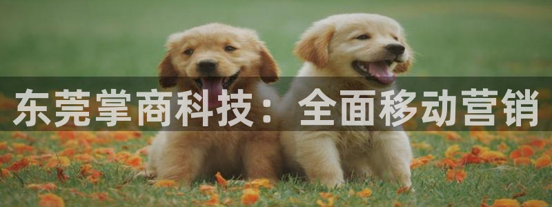 金年会电子官网