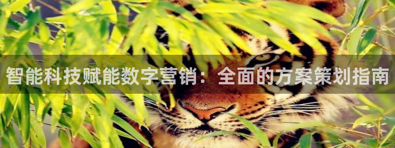 金年会金字招牌诚信