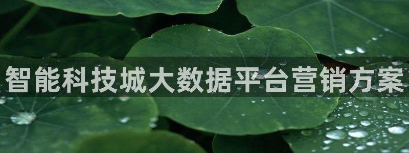 金年会会不会提不了款