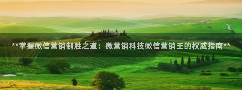 金年会 金字招牌诚信至上Vip
