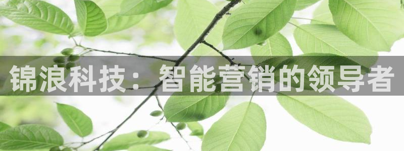 金年会网站稳不稳
