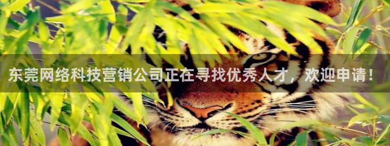 金年会官方