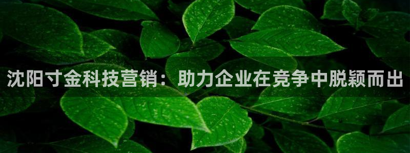金年会体育jinnianvip