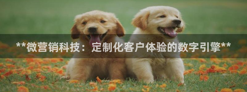 金年会官方网站入口app