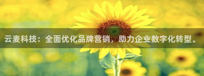金年会体育网页版