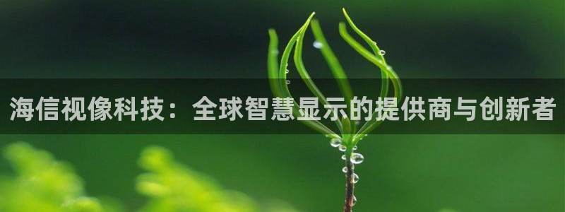 金年会app是不是钓鱼软件呀