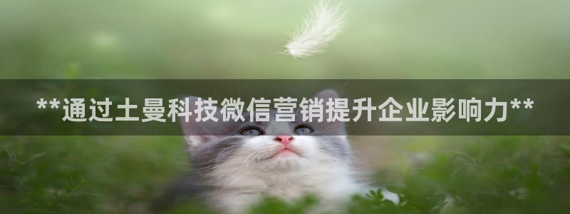 金年会提现不了
