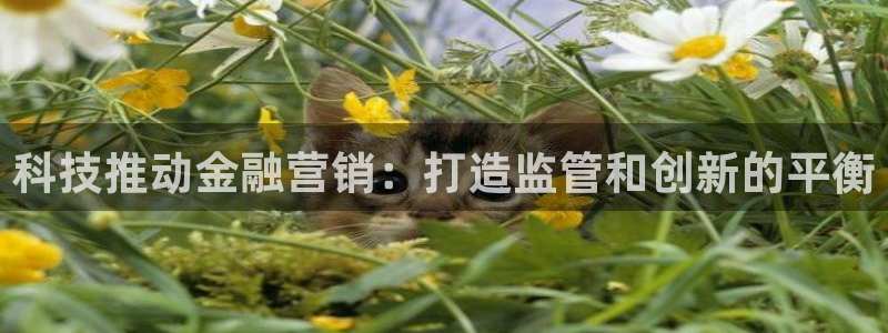 金年会官方网站首页入口