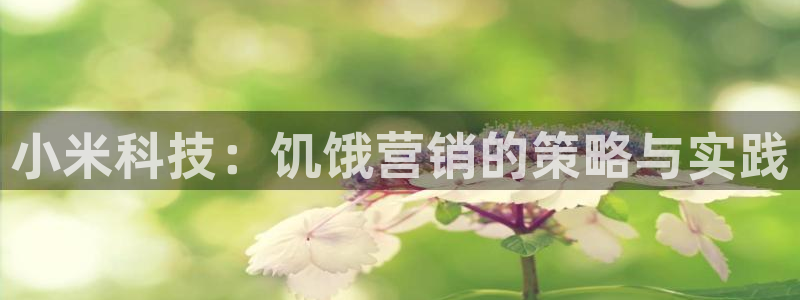 金年会体育jinnianvip
