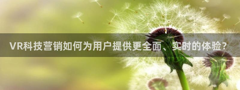 金年会体育官网入口