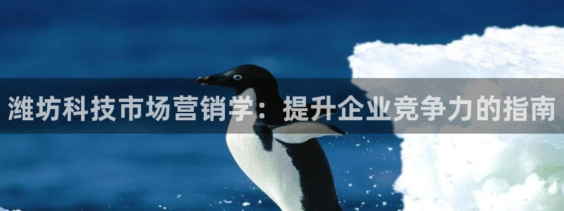 金年会官方平台