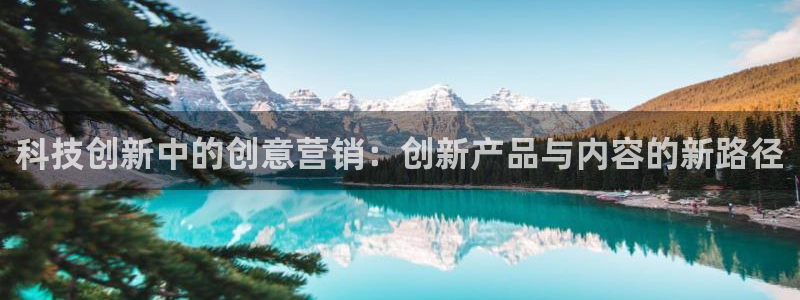 金年会官方在线入口网址是多少号