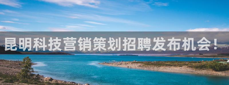 金年会体育app下载官网