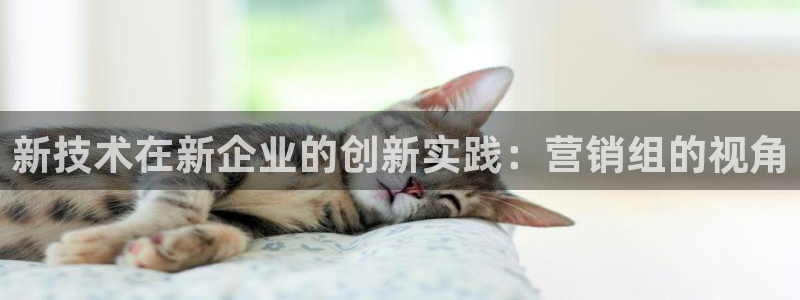 金年会app是不是钓鱼软件
