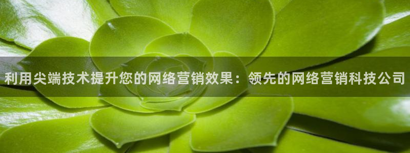 金年会手机网页版吗