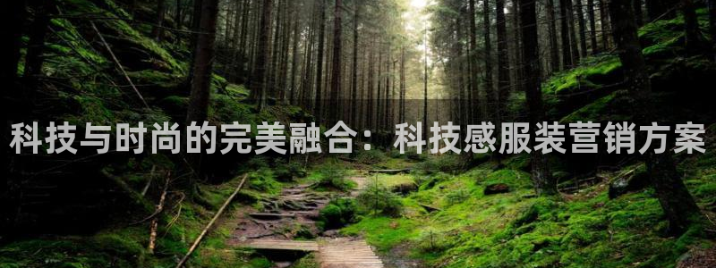 金年会体育网址是多少
