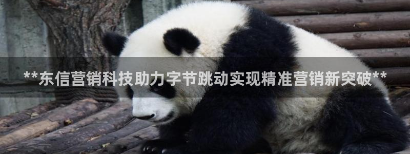 金年会官方入口网站下载