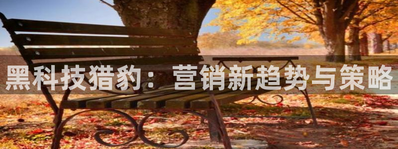 金年会网站多少