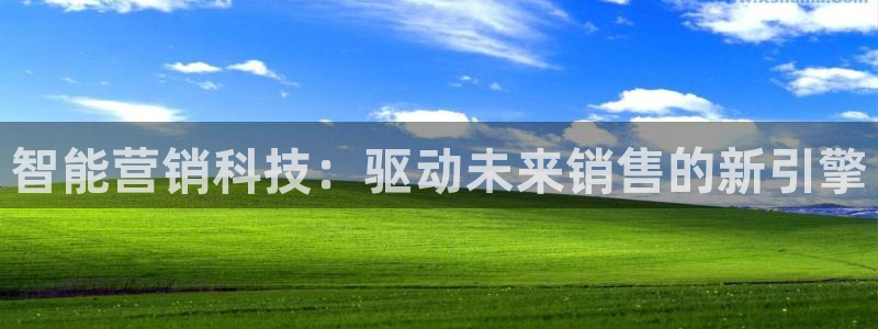 金年会体育官网