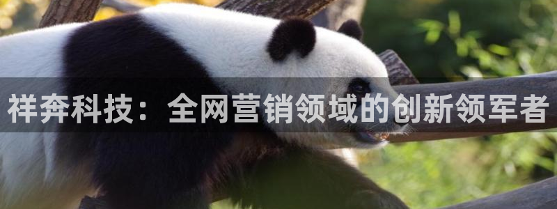 金年会入口