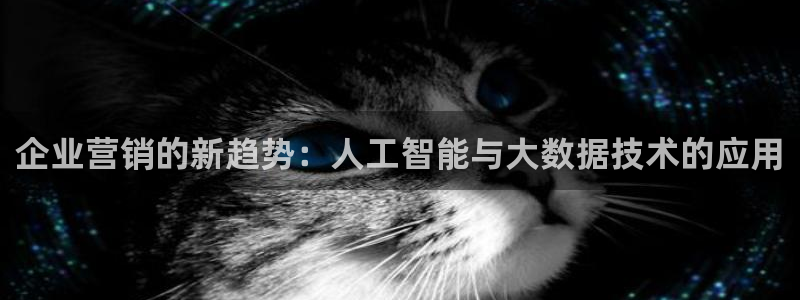 金年会体育app官网下载