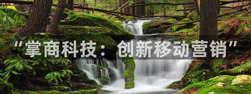 金年会手机网页版吗