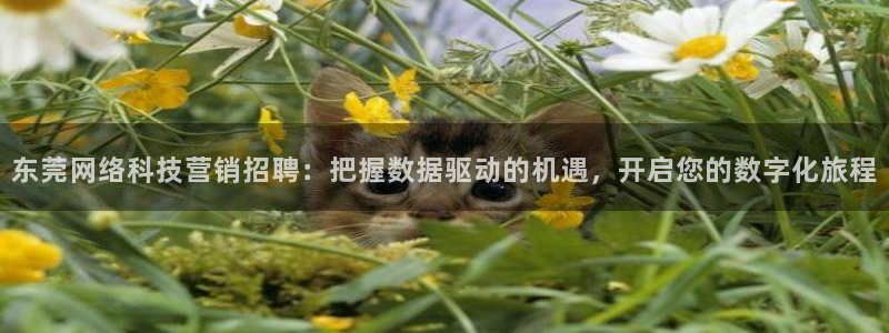 金年会体育app最新官网下载安装