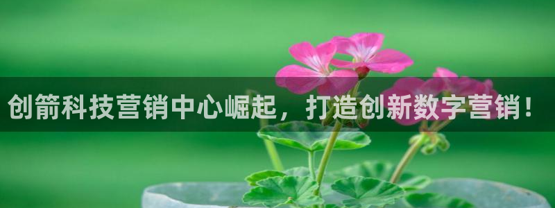 金年会官方网站入口