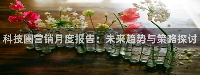 金年会体育平台官网app