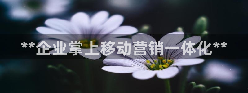 金年会体育app最新下载