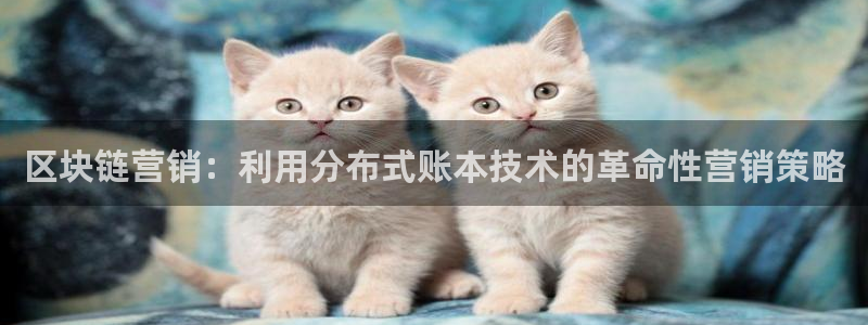 金年会信誉至上 | 金字招牌
