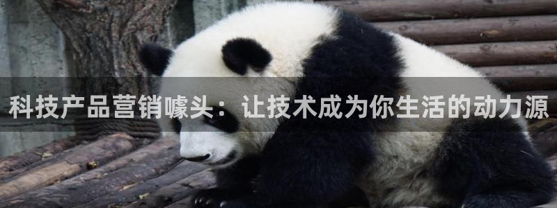 金年会电子游戏app官方网站