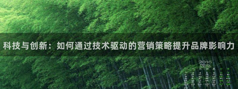 金年会体育一直输