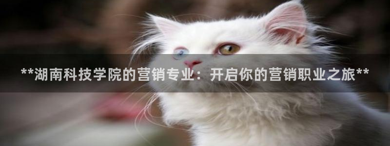 金年会金字招牌app下载