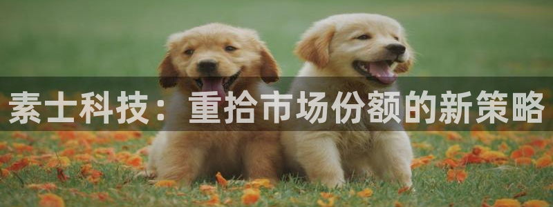 金年会体育app最新官网下载苹果