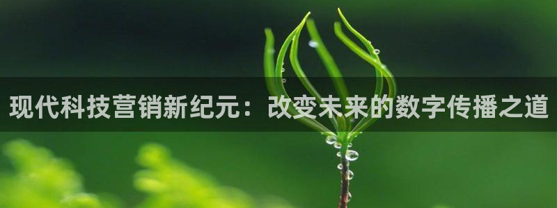 金年会电子官网