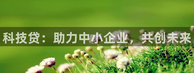 金年会官方下载app
