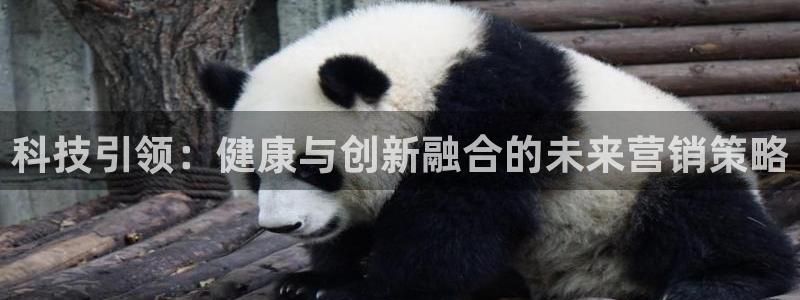 金年会mg官方在线电子游戏