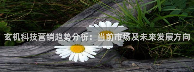 金年会网站入口