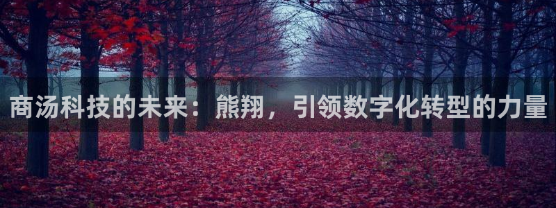 金年会体育隐藏入口