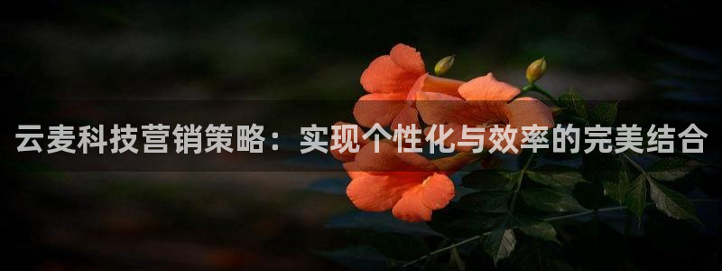 金年会平台是黑网还是白网