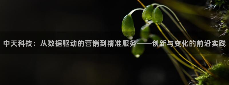 金年会-金字招牌信誉至上