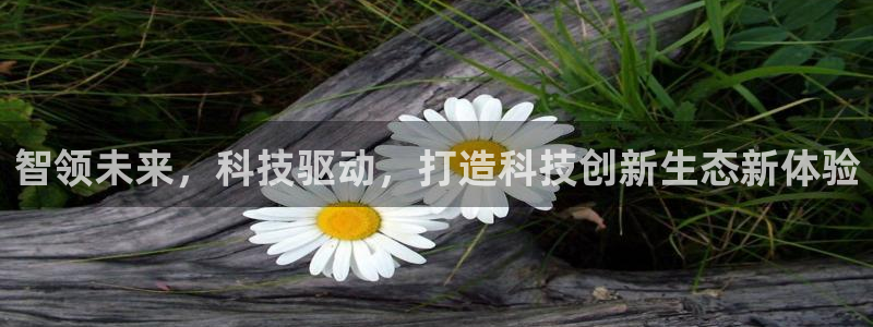金年会诚信至上